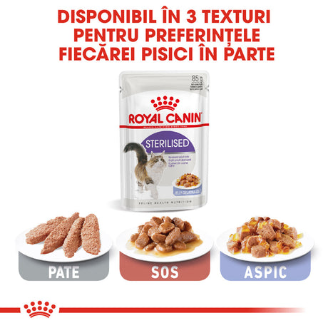 Royal Canin Sterilised Plic in Jeleu 85 G