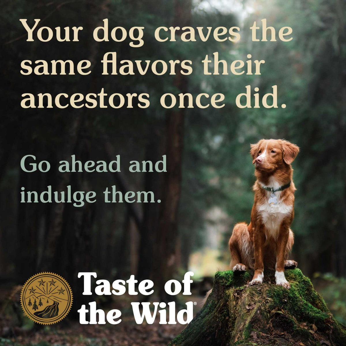 Taste of the Wild Appalachian Valley Small Breed