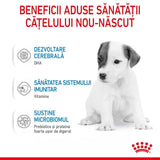 Royal Canin Baby Dog Milk 400 Gr