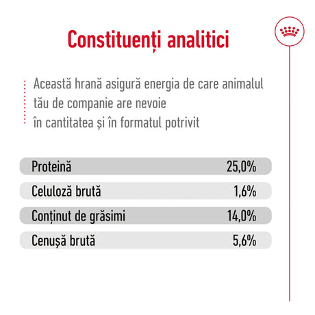 Royal Canin Medium Adult 7+