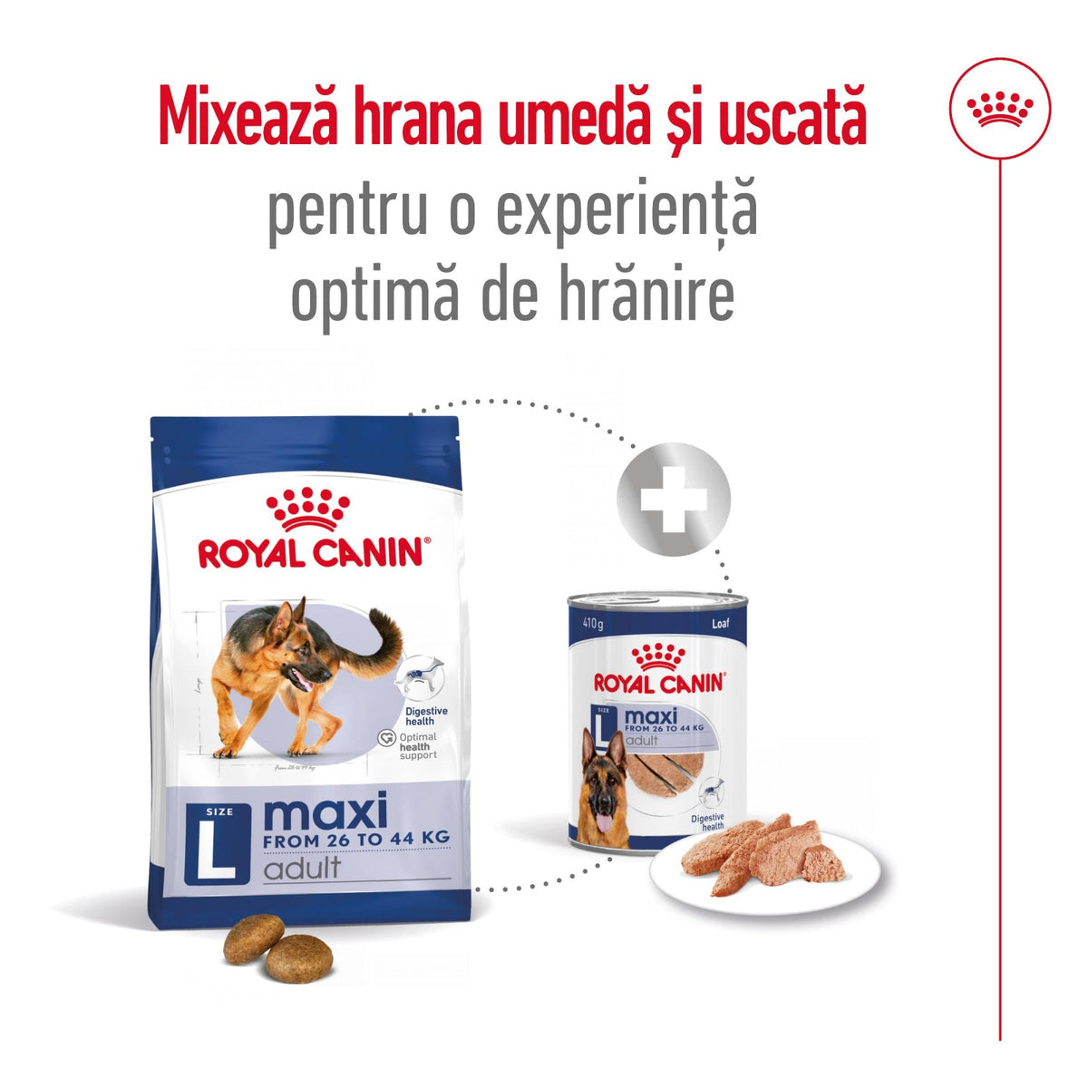 Royal Canin Maxi Adult