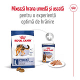 Royal Canin Maxi Adult