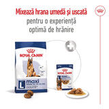 Royal Canin Maxi Adult 5+