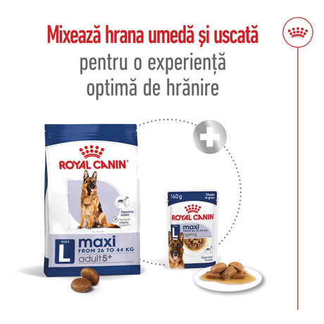 Royal Canin Maxi Adult 5+