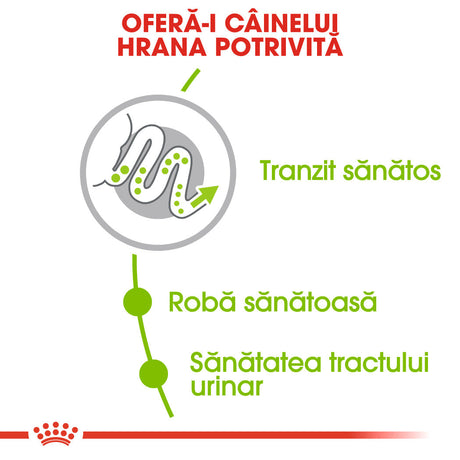 Royal Canin X-Small Adult