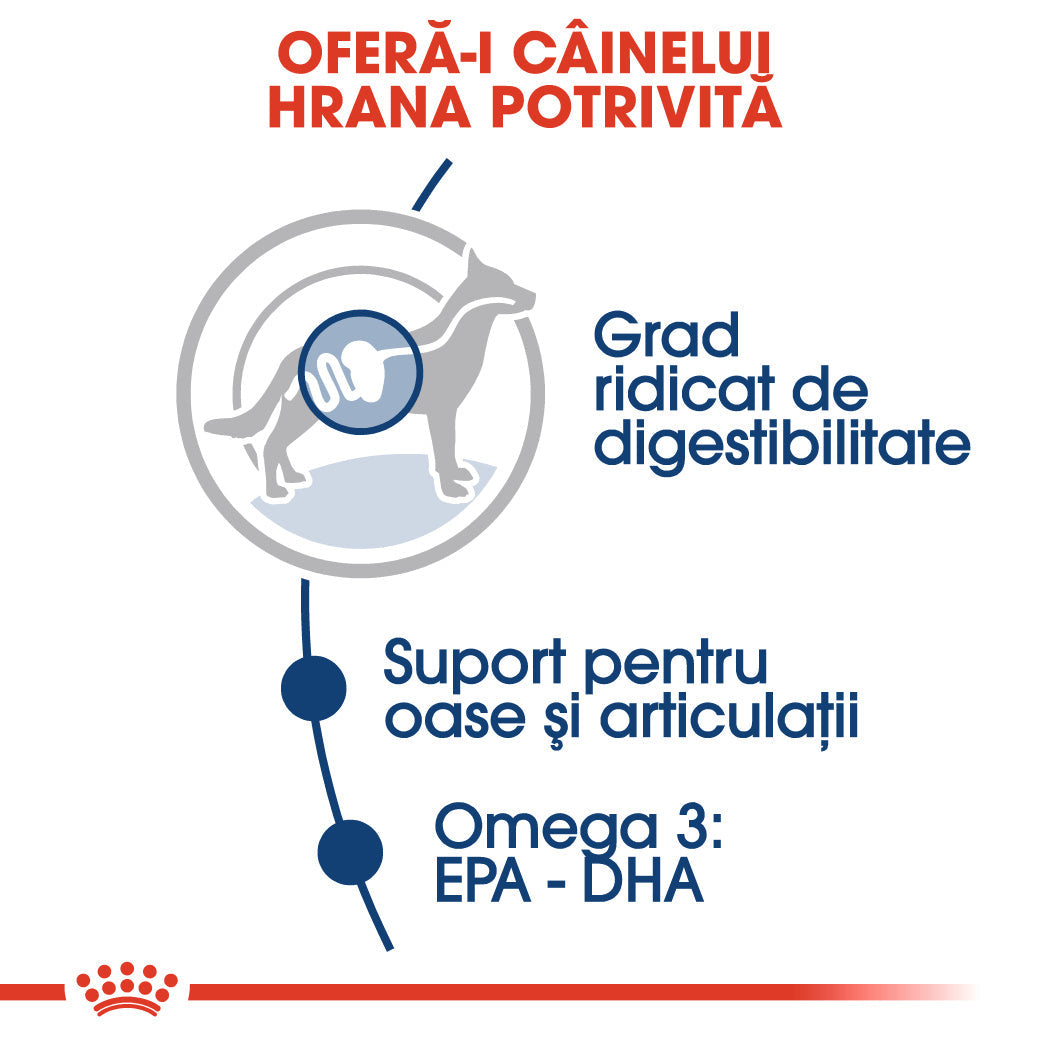 Royal Canin Maxi Adult Plic 140 G