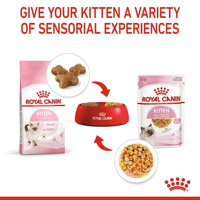 Royal Canin Kitten In Jelly Plic 85 G