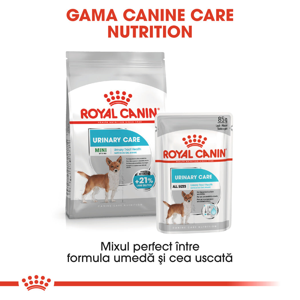 Royal Canin Mini Urinary Care