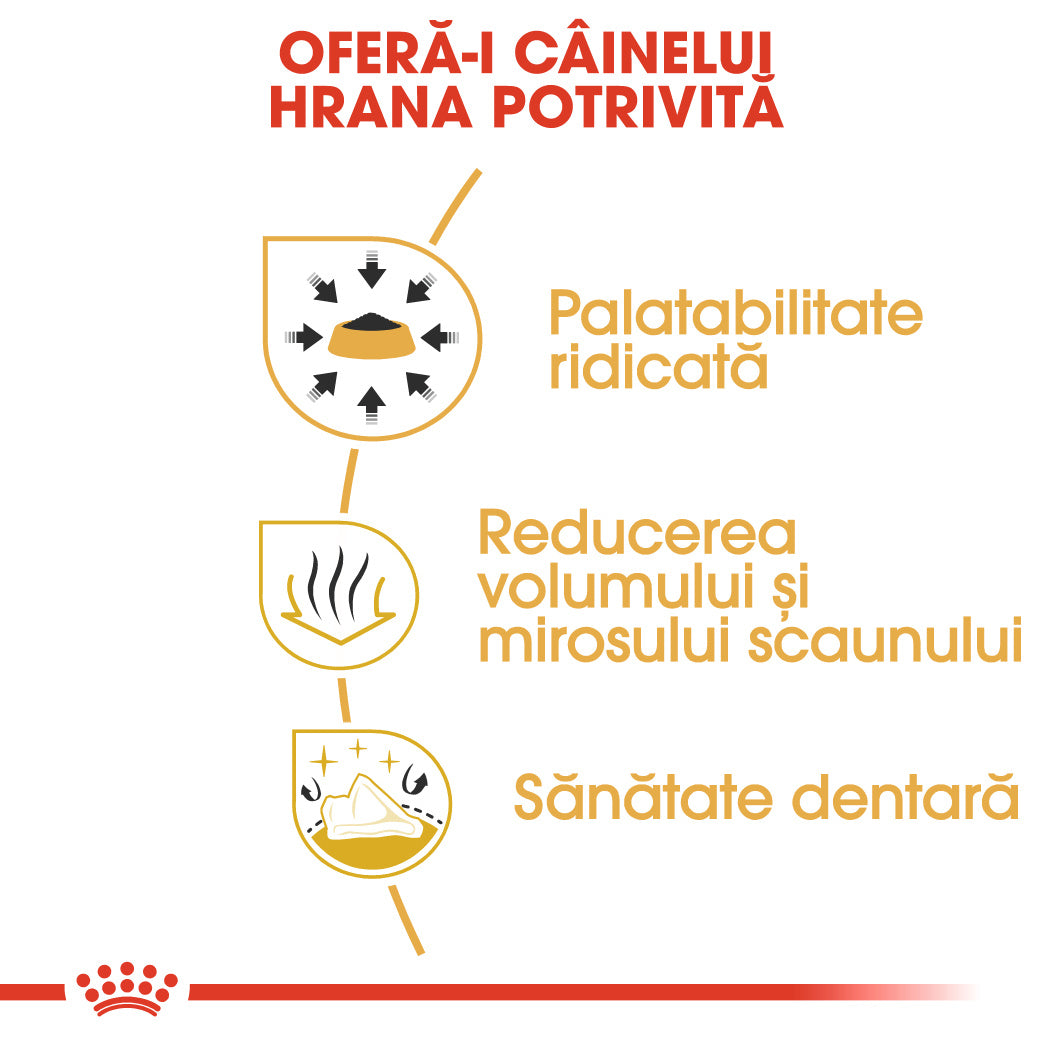 Royal Canin Chihuahua Adult