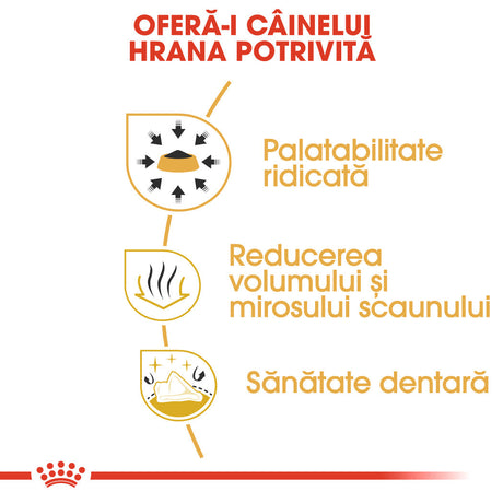 Royal Canin Chihuahua Adult