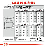 Royal Canin Mini Dermacomfort