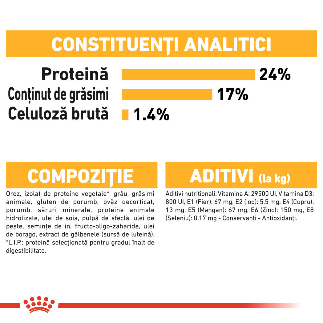 Royal Canin Medium Dermacomfort
