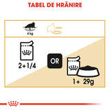 Royal Canin Persian Adult Plic 85 G