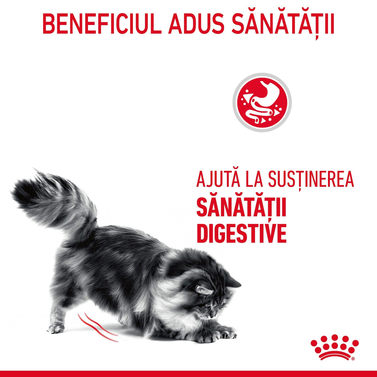 Royal Canin Digestive Care