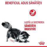 Royal Canin Digestive Care