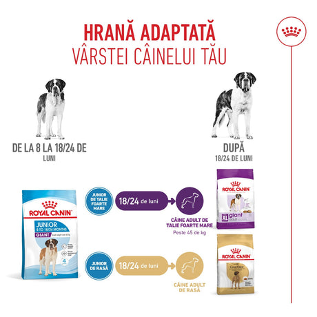 Royal Canin Giant Junior