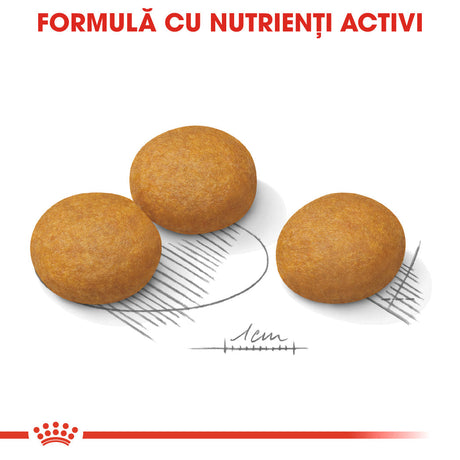 Royal Canin Maxi Dermacomfort