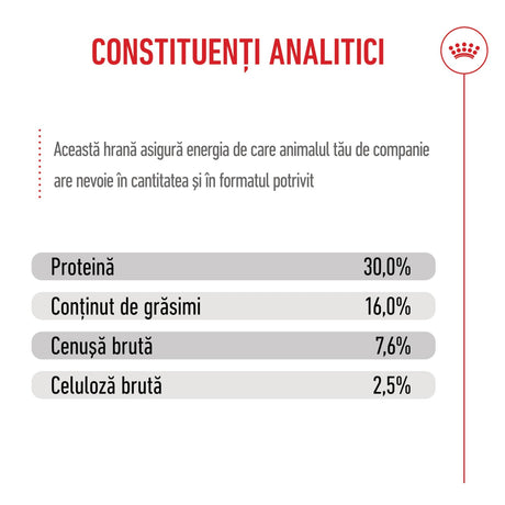 Royal Canin Maxi Puppy