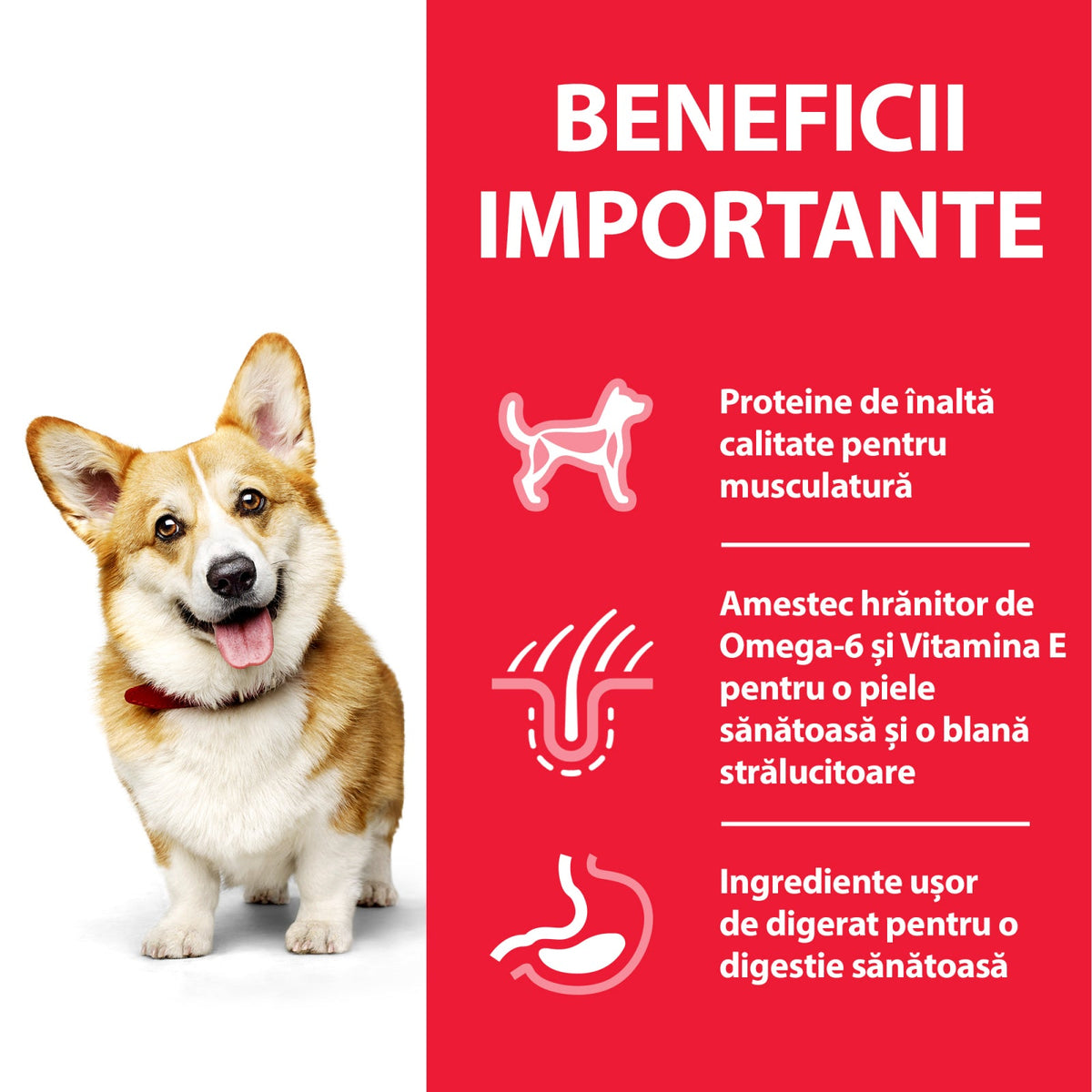 Hill's Science Canine Adult Small&Mini with Chicken