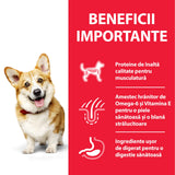 Hill's Science Canine Adult Small&Mini with Chicken