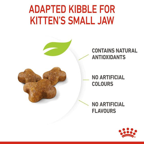 Royal Canin Kitten