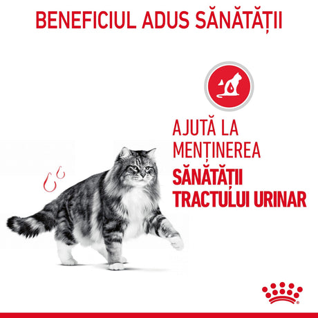 Royal Canin Urinary Care