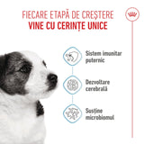Royal Canin Mini Puppy