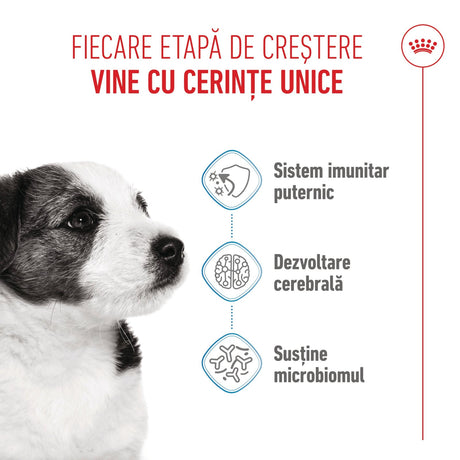 Royal Canin Mini Puppy