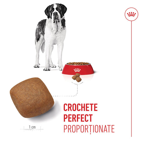 Royal Canin Giant Junior