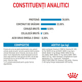 Royal Canin Mini Starter