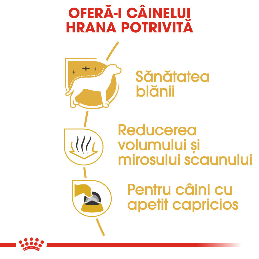 Royal Canin Maltese Adult