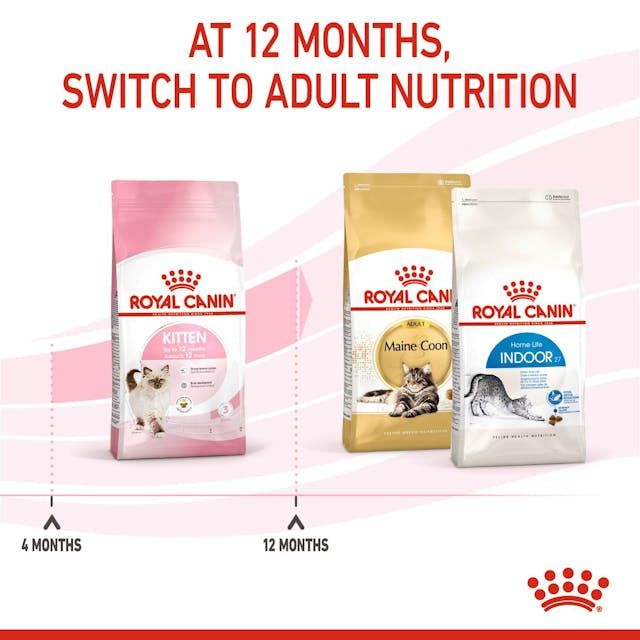 Royal Canin Kitten
