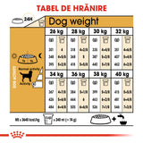 Royal Canin Labrador Retriever Adult