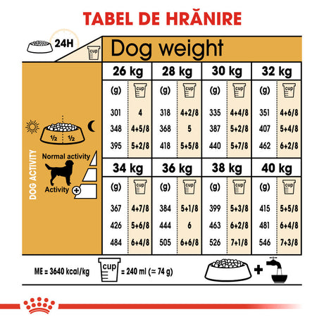 Royal Canin Labrador Retriever Adult