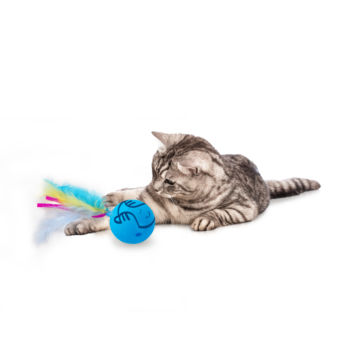 All for Paws Jucarie Dizzy Spinner pentru Pisici