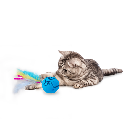 All for Paws Jucarie Dizzy Spinner pentru Pisici