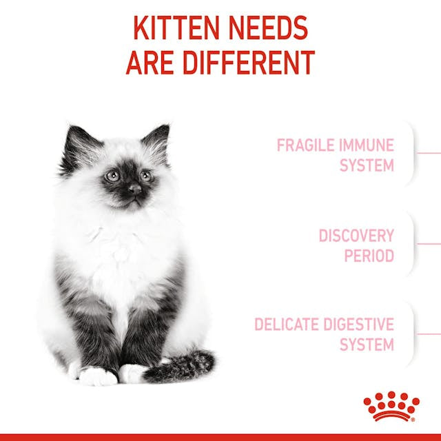 Royal Canin Kitten