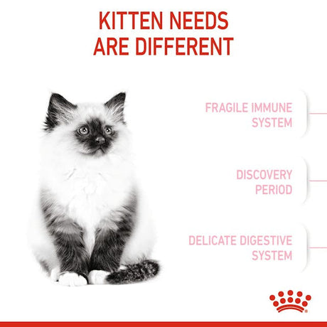 Royal Canin Kitten