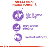Royal Canin Sterilised Plic in Jeleu 85 G