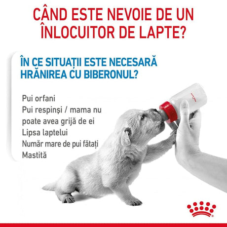Royal Canin Baby Dog Milk 400 Gr