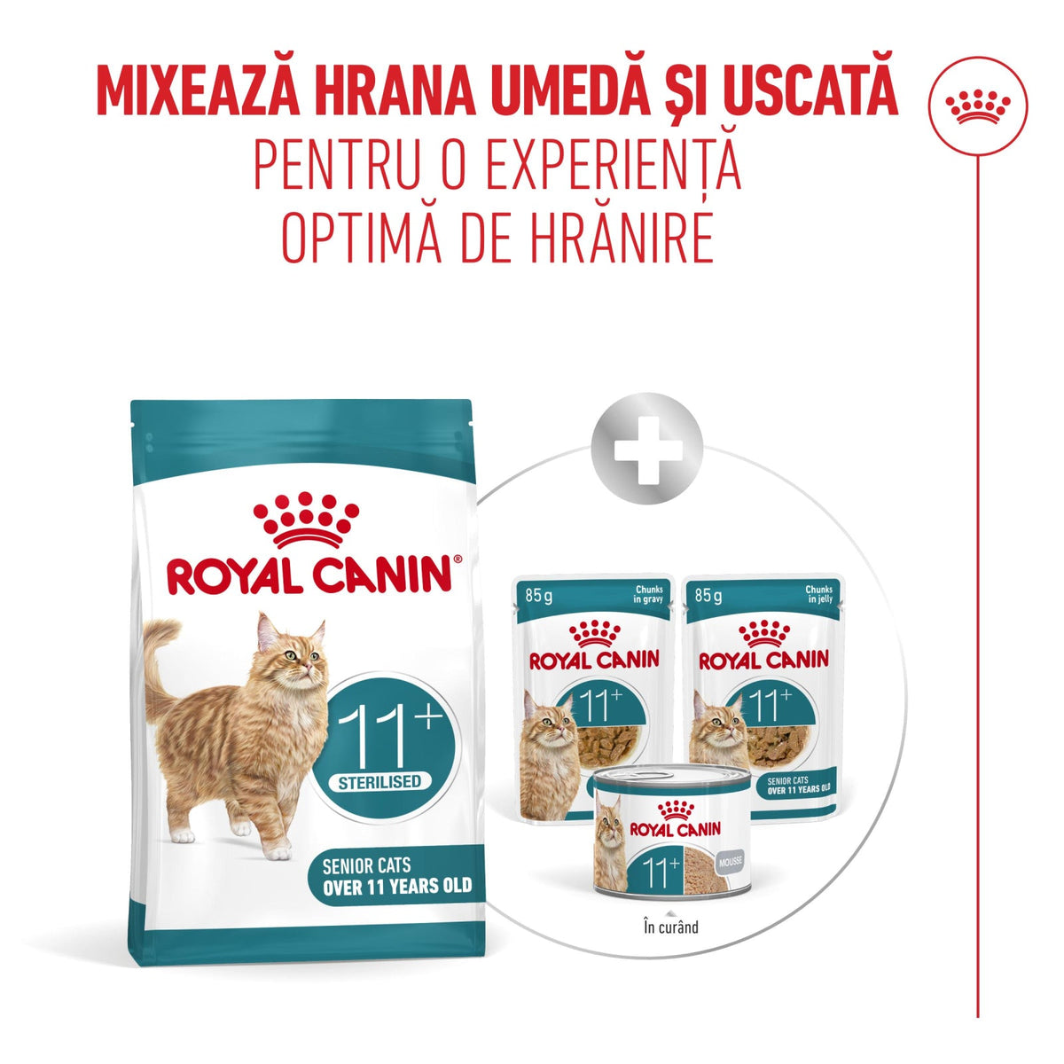 Royal Canin Ageing 11+ Sterilised 400 Gr