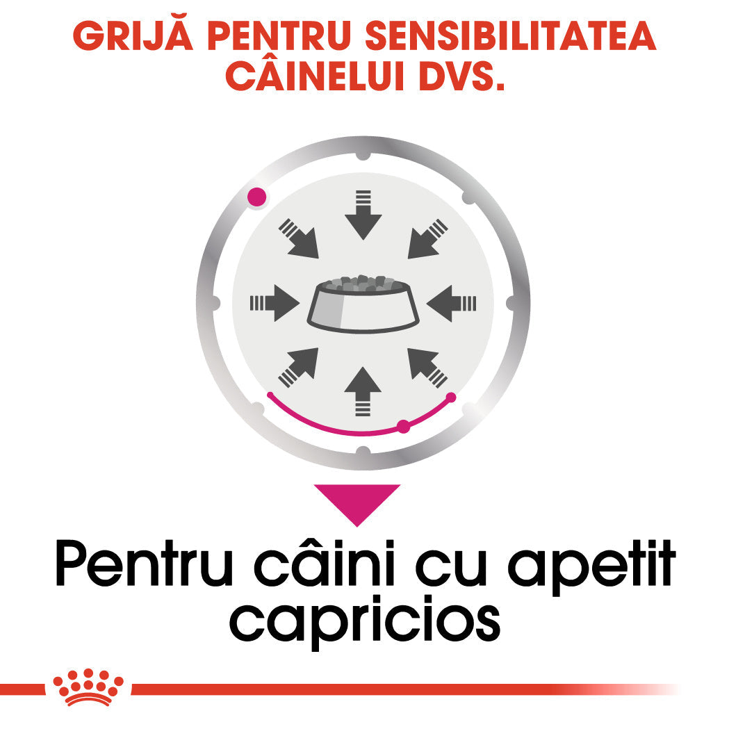 Royal Canin Exigent Loaf Plic 85 G