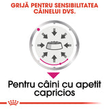 Royal Canin Exigent Loaf Plic 85 G