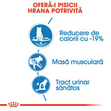 Royal Canin Ultra Light Plic 85 G