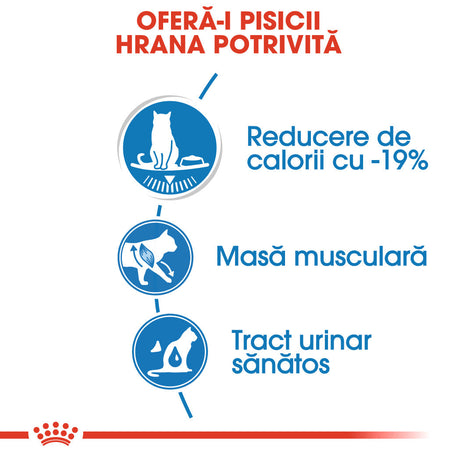 Royal Canin Ultra Light Plic 85 G