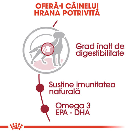 Royal Canin Medium Adult Plic 140 G