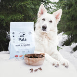 Pala Hrana Raw pentru Caini cu Vita si Somon