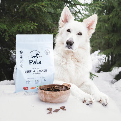 Pala Hrana Raw pentru Caini cu Vita si Somon