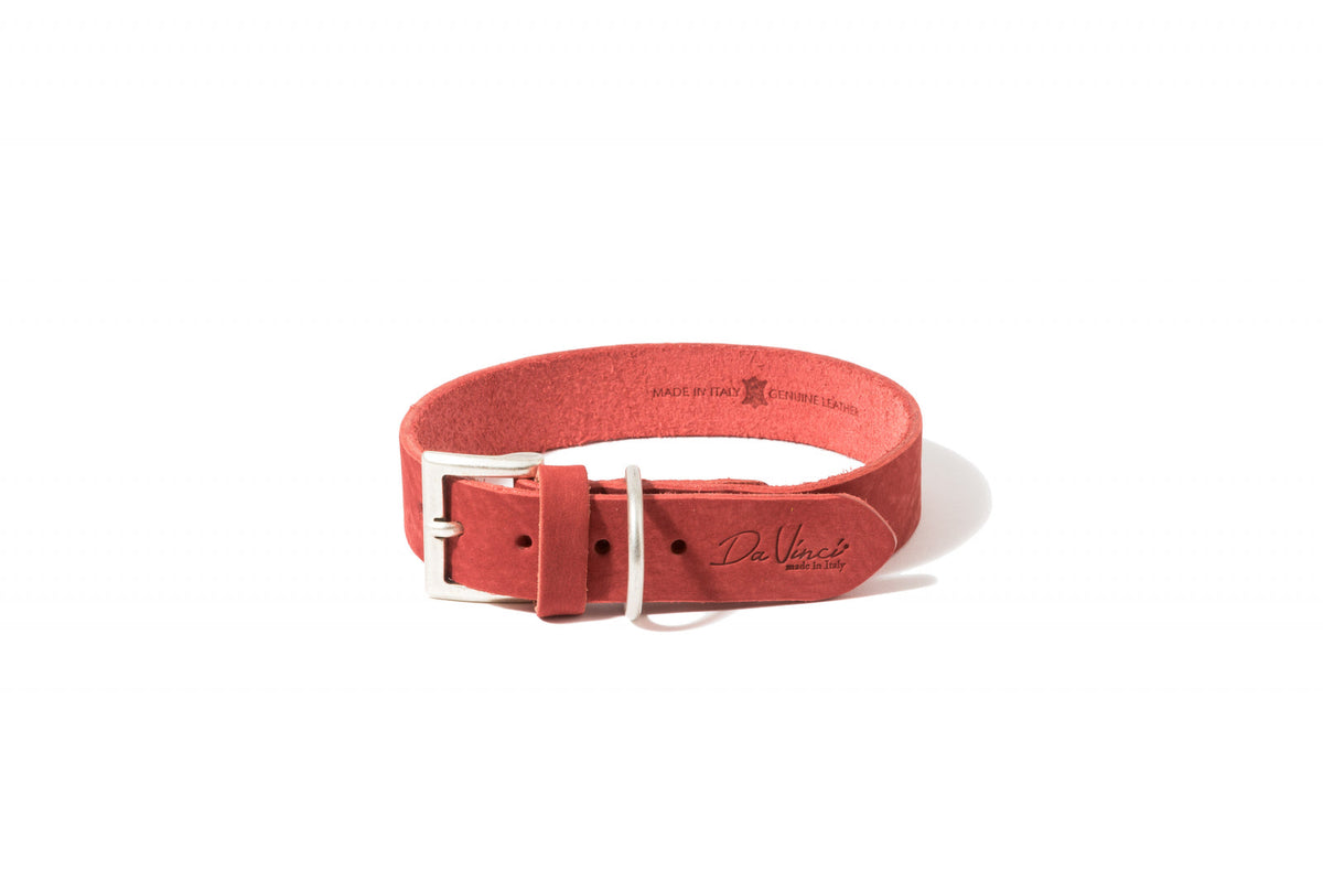 exotic-k-zgarda-caini-l4