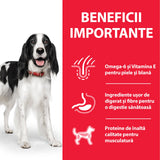 Hill's Science Canine Adult with Beef Can